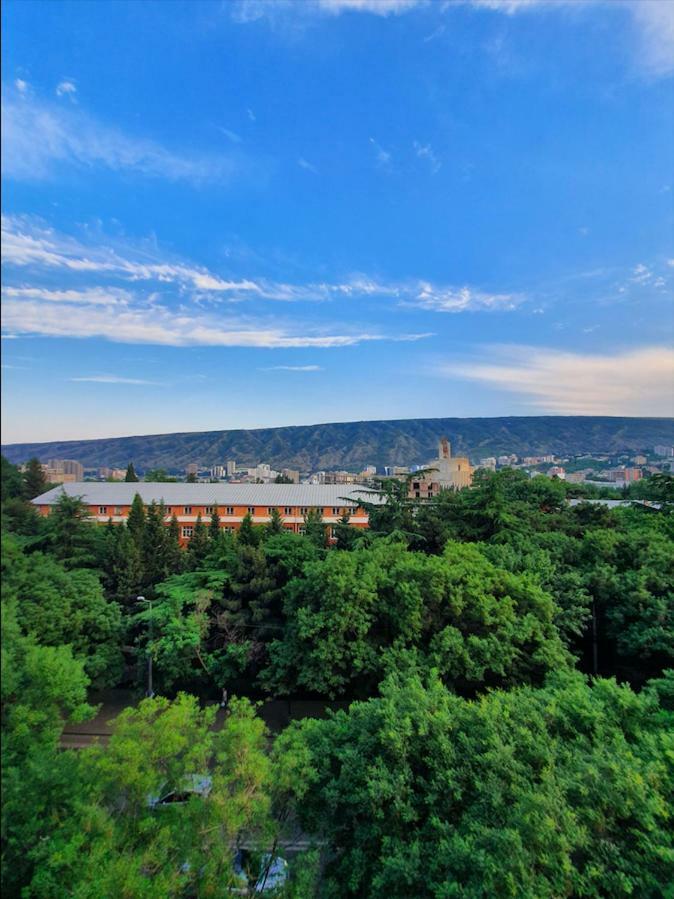 5 Rooms Near 300 Aragveli Metro Station Tbilissi Extérieur photo